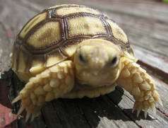 hkandre's profile picture. 