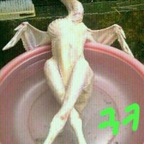 nadau32's profile picture. 