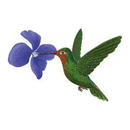 WellLifeBalance's profile picture. It's About Time It's About Me!