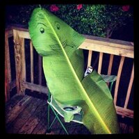 Lyne Minardi (@lyne_minardi) 's Twitter Profile