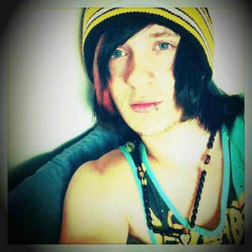 bands are basically my life BVB SWS PTV MIW VE! AA FIR
