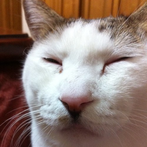 sid0207's profile picture. 