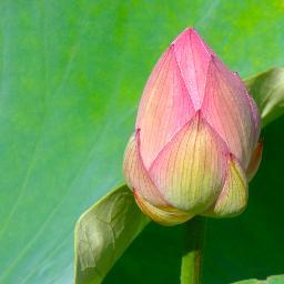 alltingsmindful's profile picture. "Find out just what any people will quietly submit to and you have the exact measure of the injustice and wrong that will be imposed upon them." F. Douglas