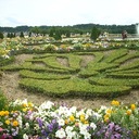 Tegan Holmes - @Facesandphrases - Twitter