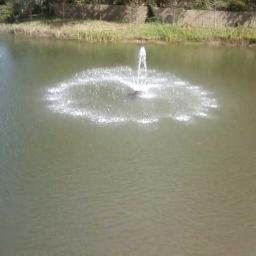 comstocknathan's profile picture. ComstockLandscaping Im a DBA License for the state of Florida my Reg# G100000045325  . You can call me at : 1-352-221-3505.http://t.co/x0lIaYtVEf