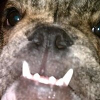 ACE527 (@freddyz73) 's Twitter Profile