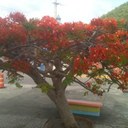 Luz Enid Torres - @luzet21 - Twitter