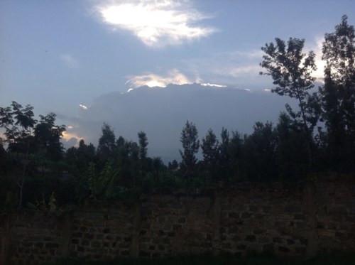 josekinke's profile picture. 