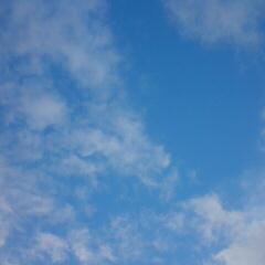 cfmfns's profile picture. チェッカーズと光GENJIは青春