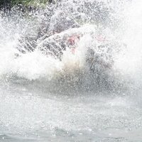 D'Arcy Duquette (@dvcjduquette) 's Twitter Profile