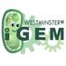 Westminster iGEM (@uow_igem_2013) Twitter profile photo
