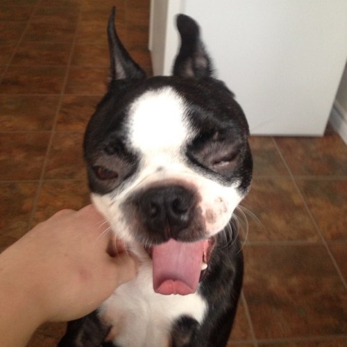 ryanpettinger1's profile picture. 