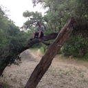 John Segovia - @Browny_Chicken - Twitter