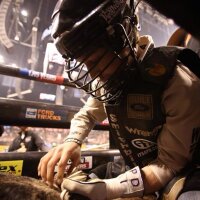Ty Pozzobon (@typozzobon) 's Twitter Profile