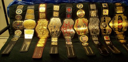 heeljdfine's profile picture. the asshole everyone loves to hate but can't 12 time champion small in hight but packs a Hell of a arsenal of moves