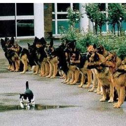 on_calltech's profile picture. Web Design, Online Marketing, IT Solutions