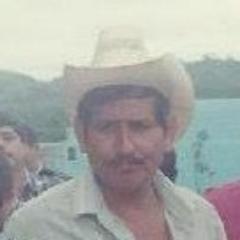 Ex Presidente Municipal de Huejutla.
Ex Diputado Local por la Huasteca.
Ex Candidato tumbado.
#YoLoSoyBernabes Lider del PRI en la Huasteca.
#Parodia