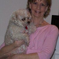 Shirley Yancey - @saywhat1332 Twitter Profile Photo