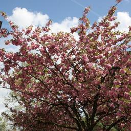 SmitMoormann's profile picture. Een eigentijds en maatschappelijk betrokken notariskantoor.