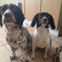 Gareth Douglas - @dougiec37 - Twitter