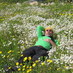 Fevzi Çıkıkçı (@fevzininyeri) Twitter profile photo Fevzi Çıkıkçı (@fevzininyeri) Twitter profile photo