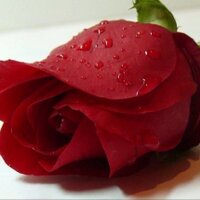 ولد الريااااض $$ (@mohmdshurimi) 's Twitter Profile