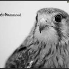 فحل لممحونات