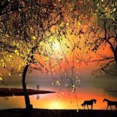 All great things of life. Best quotes, wisdom, meditations, yoga and best affirmations with positive motivations.
