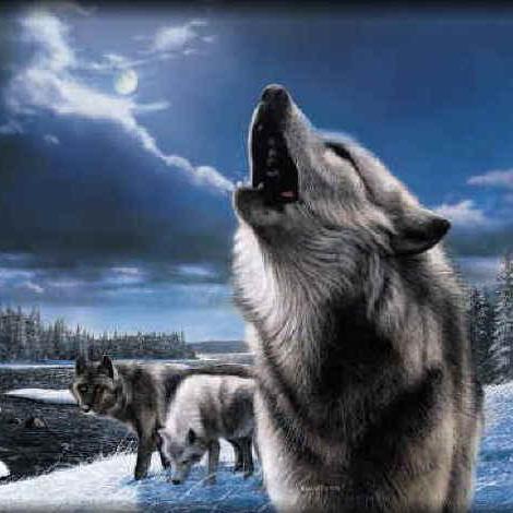 Jaceupblack's profile picture. I lowe you