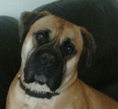 KarenKaren1919's profile picture. 