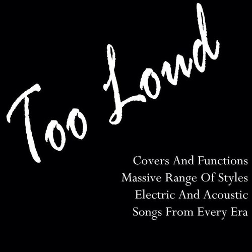 Too Loud are a covers & functions band made up of talented individuals all of which have had many years of live & recording experience. Covers from all decades.