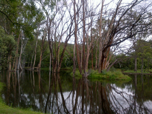 RonelCurrin's profile picture. Love to sit under a tree and drink Champagne
