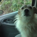 Fred Sibley - @FFsibley - Twitter