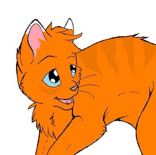 Meow~ hello^^ i am a orange kitten and i am very scary.. Like a lion :D and my name is Jerry.