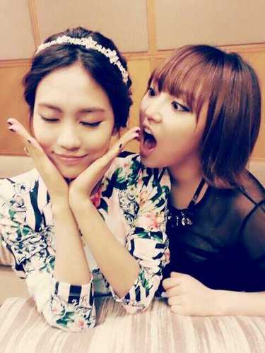 Let me introducemy self. I am a fei from Miss-A. (bot account)/페이봇 입니당! 멘션주시면 맞팔해드려요!(@missA_fei)I'm not real fei ^^