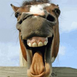 Thesmileyhorse1's profile picture. An amazing Restaurant in Killarney. Follow us to get lots of yummy recipes and details of events in Killarney