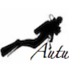 DivedScallops's profile picture. Autumn Silver Scallops provide hand dived scallops fresh from the boat. South Devon Scallops sustainably gathered.