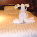 Catherine Pham - @letxusxdream - Twitter