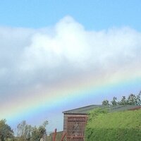 Lesley Cook (@cookl39) 's Twitter Profile Photo