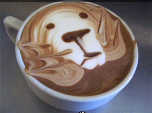 Sambali007's profile picture. 