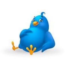 One extra follower for you - FOLLOWBACK 100%
