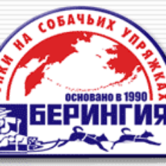 Традиционная камчатская гонка на собачьих упряжках.