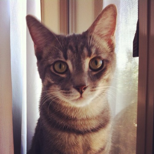 jen_gillette's profile picture. 