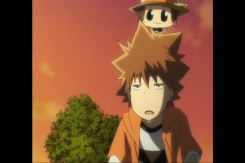 Fallingceilings's profile picture. 我很帅，只是帅的不明显。