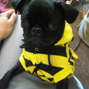 Kyle Biller - @kyle_kitters - Twitter