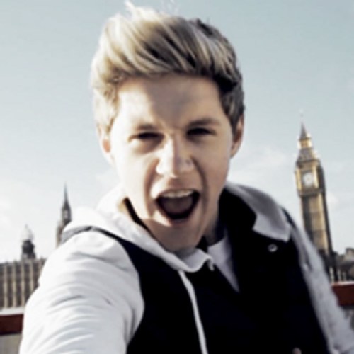 My name is Erika!Meeting 1D on July 12,2013! Also a directioner!!birthday August 23! 0/5