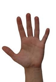 Trovador ocasional, seductor con responsabilidad y con dedos rápidos y fuertes ¿quieres sentirlos? Sigueme y te sigo