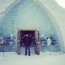 Denis - @denis_utkin - Twitter