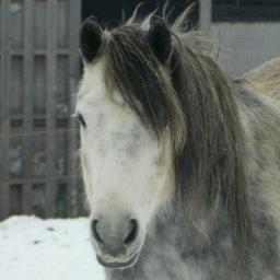 Neenlington's profile picture. 