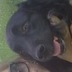 Esther Gibbs - @liliana_floyd - Twitter